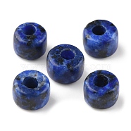 Natural Sesame Jasper/Kiwi Jasper Imitation Lapis Lazuli Beads, Dyed, Column, 8x5.5~6mm, Hole: 3~3.2mm(G-G0003-A07)