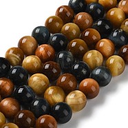 Natural Tiger Eye Beads Strands, Round, 10~10.5mm, Hole: 1.4mm, about 38pcs/strand, 15.16''(38.5cm)(G-D083-A02-02)
