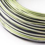 Round Aluminum Wire, Colorful, 18 Gauge, 1mm, about 93.6m/roll(AW-E002-1mm-01)