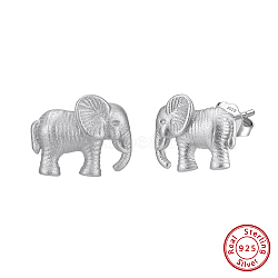 925 Sterling Silver Elephant Stud Earrings, Real Platinum Plated, 9x11mm(STER-P065-05P)