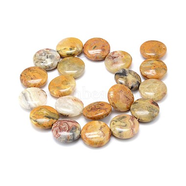 Natural Crazy Lace Agate Flat Round Beads Strands(G-M206-16)-2