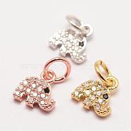 Brass Micro Pave Grade AAA Cubic Zirconia Charms, Long-Lasting Plated, Elephant, Cadmium Free & Nickel Free & Lead Free, Mixed Color, 8x7.5x1.5mm, Hole: 3mm(ZIRC-G090-12-NR)