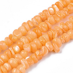 Natural Sea Shell Beads Strands, Dyed, Chips, Coral, 6~18.5x5~10x2.5~7mm, Hole: 0.5~0.7mm, about 97~105pcs/strand, 15.55 inch~15.98 inch(39.5cm~40.6cm)(SSHEL-S278-131E)