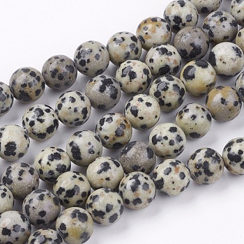 Natural Dalmatian Jasper Stone Bead Strands, Round, 8mm, Hole: 1mm, about 48pcs/strand, 14.9 inch