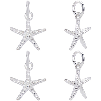 4Pcs 925 Sterling Silver Starfish Charms, with Jump Rings and 925 Stamp, Silver, 13x12x3mm, Hole: 3.5mm