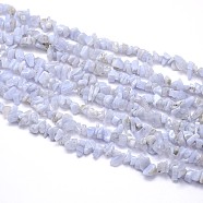 Natural Blue Lace Agates Strands, Chips, 5~8x5~8mm, Hole: 1mm, about 31.5 inch(X-G-O049-B-18)