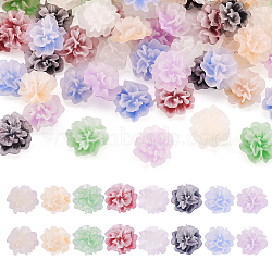 60pcs 6 colors Frosted Resin Flower Cabochons, for Jewelry Making, Mixed Color, 11.5~13x6.5mm, 10pcs/color(CRES-TA0001-27)