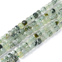 Natural Prehnite Beads Strands, Faceted, Cube, 4x4x4mm, Hole: 0.7mm; about 96~101pcs/strand, 15.35 inches~15.55 inches(39~39.5cm)(G-L537-003B)