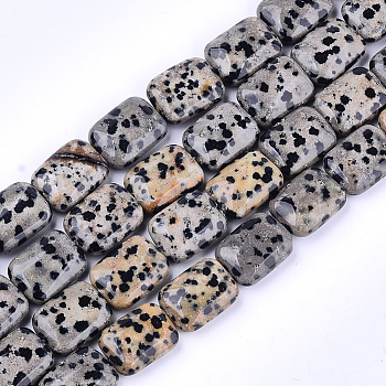 Natural Dalmatian Jasper Beads Strands, Rectangle, 17.5~18.5x13~13.5x6~7mm, Hole: 1mm, about 22pcs/strand, 15.5 inch