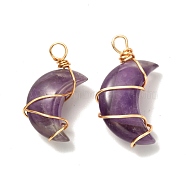 Natural Amethyst Pendants, with Real 18K Gold Plated Eco-Friendly Copper Wire, Moon, 29~32x15~17.5x10~11mm, Hole: 3~4mm(PALLOY-JF00931-01)