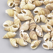 Spiral Shell Beads, No Hole/Undrilled, Wheat, 10~20x6~11x5~9mm(SSHEL-S251-06)