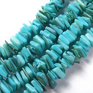 Natural Freshwater Shell Beads Strands, Dyed, Square, Dark Turquoise, 11~16.5x10~13x1~7mm, Hole: 1.2mm, about 190pcs/strand, 14.96 inch(38cm)(SHEL-C001-10C)