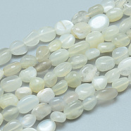 Natural Grey Moonstone Beads Strands, Tumbled Stone, Nuggets, 6~9x6~7x4~5mm, Hole: 0.8mm, about 54pcs/Strand, 15.55 inch(39.5 cm)(G-D0002-B42)