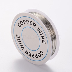 Round Craft Copper Wire, Nickel Free, Silver Color Plated, 24 Gauge, 0.5mm, about 31.16 Feet(9.5m)/roll(X-CW0.5mm006)