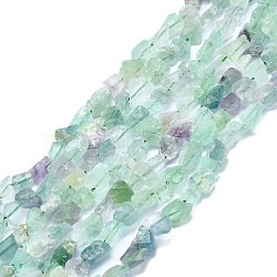 Raw Rough Natural Fluorite Beads Strands, Nuggets, 6~27x4~17x3.5~8mm, Hole: 1mm, about 23~46pcs/strand, 15.35 inch(39cm)(G-I279-B19)