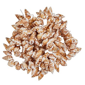 Natural Spiral Shell Beads Strands, Wheat, 14~20x7~10x6~8mm, Hole: 1mm, 15.35 inch(39cm), 2strands/box