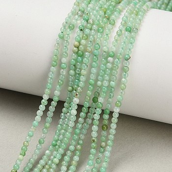 Natural Chrysoprase Beads Strands, Smooth Round, 2mm, Hole: 0.5mm, about 176~179pcs/strand, 15~15.47''(38.1~39.3cm)