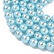 Electroplated Shell Pearl Beads Strands(BSHE-G041-6mm-03)-3