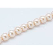Shell Pearl Beads Strands, Grade A, Polished, Round, Dark Salmon, 8mm, Hole: 0.8mm, about 47~50pcs/strand, 16 inch(X-SP8MM218)