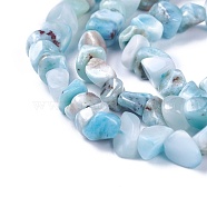 Natural Larimar Beads Strands, Nuggets, 4~7x3~6x2~4mm, Hole: 1mm, about 15.9 inches(40.5cm)(G-I225-11)