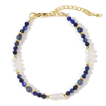 Natural Lapis Lazuli & Plastic Imitation Pearl Bead Beaded Bracelets, Brass Jewelry for Women, 6-1/2~6-3/4 inch(16.5~17cm)