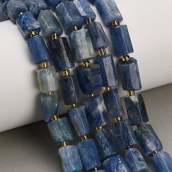 Natural Kyanite/Cyanite/Disthene Beads Strands, Column, Faceted, with Seed Beads, 10~12x5~8x5~8.5mm, Hole: 0.9mm, about 31pcs/strand, 15.94''(40.5cm)