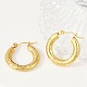 304 Stainless Steel Hoop Earrings for Women(EJEW-U046-03G)-1