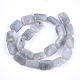 Natural Labradorite Beads Strands(G-T121-13)-3