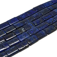 Natural Lapis Lazuli Beads Strands, Rectangle, 19~20x15x5~6mm, Hole: 0.8mm, about 20pcs/strand, 15.35''(39cm)(G-K311-07B)