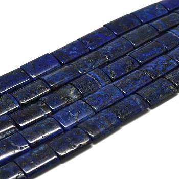 Natural Lapis Lazuli Beads Strands, Rectangle, 19~20x15x5~6mm, Hole: 0.8mm, about 20pcs/strand, 15.35''(39cm)
