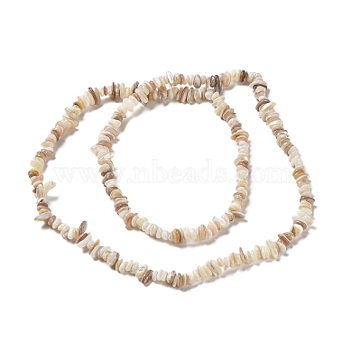 Natural Freshwater Shell Beads Strands(G-M205-85B)-2