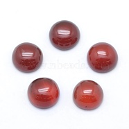 Natural Carnelian Cabochons, Flat Round, Dyed, 8x3~4mm(X-G-E492-H-14)