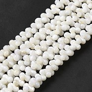 Natural Freshwater Shell Beads Strands, Peanut, Beige, 7.5~8x3.5~4mm, Hole: 0.9mm, about 127pcs/strand, 15.08''(38.3cm)(BSHE-E026-17)