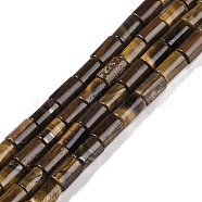 Natural Tiger Eye Beads Strands, Column, 7.5~8.5x5~6mm, Hole: 1mm, about 45~46pcs/strand, 14.69~15.04 inch(37.3~38.2cm)(G-C128-A21-01)