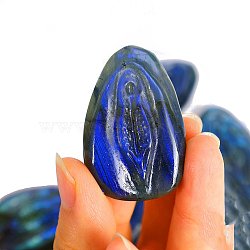 Carved Natural Labradorite Sculpture Display Decorations, for Home Office Decorations, Oval, 45x30mm(PW-WGBD60A-04)