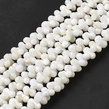 Natural Freshwater Shell Beads Strands, Peanut, Beige, 7.5~8x3.5~4mm, Hole: 0.9mm, about 127pcs/strand, 15.08''(38.3cm)