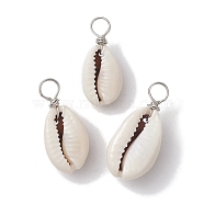 Natural Cowrie Shell Pendants, Shell Shape Charms with Copper Wire Loops, Platinum, 21.5~25.5x9.5~11.5x7~9.5mm, Hole: 4mm(PALLOY-JF02681-02)