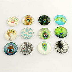 Feather Pattern Flatback Half Round Glass Dome Cabochons, for DIY Projects, Mixed Color, 12x4mm(GGLA-R026-12mm-26)