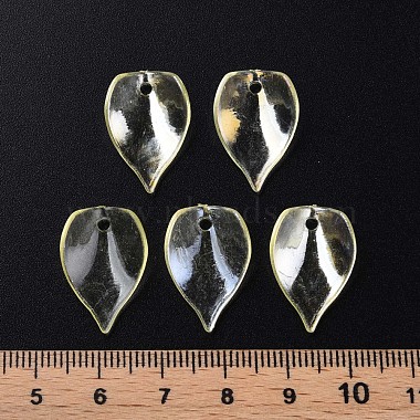 Perles en acrylique transparente(MACR-S373-103-C01)-5