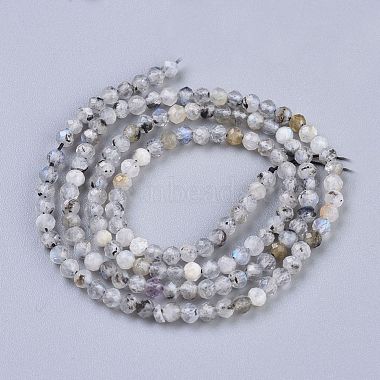 Natural Rainbow Moonstone Beads Strands(X-G-R475-025B)-2