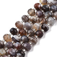 Natural Botswana Agate Beads Strands, with Seed Beads, Faceted, Rondelle, 8x6mm, Hole: 1mm, about 20~22pcs/strand, 7.09 inch(18cm)(G-N327-08N)