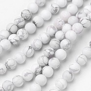 Natural Howlite Beads Strands, Frosted, Round, 6mm, Hole: 1mm, about 63pcs/strand, 15.1 inch(G-D809-16-6mm)