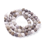Natural America Petrified Wood Beads Strands, Frosted, Round, 6mm, Hole: 1mm, about 60~68pcs/strand, 15  inch~15.27 inch(38.2~38.8cm)(G-P430-03-B)