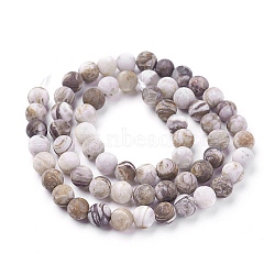 Natural America Petrified Wood Beads Strands, Frosted, Round, 6mm, Hole: 1mm, about 60~68pcs/strand, 15  inches~15.27 inches(38.2~38.8cm)(G-P430-03-B)