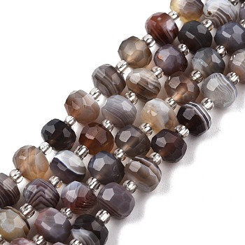 Natural Botswana Agate Beads Strands, with Seed Beads, Faceted, Rondelle, 8x6mm, Hole: 1mm, about 20~22pcs/strand, 7.09 inch(18cm)