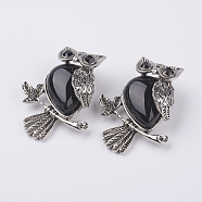 Natural Black Agate Pendants, with Alloy Finding, Owl, Antique Silver, 46.5x35.5x11.5mm, Hole: 6x8.5mm(G-E442-01R)