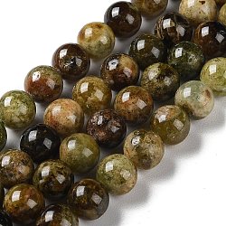 Natural Green Garnet Beads Strands, Round, 10~11mm, Hole: 1.2mm, about 37pcs/strand, 15.35''(39cm)(G-Z034-B14-03)