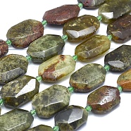 Natural Green Garnet Beads Strands, Andradite Beads, Faceted, Oval, 15~28x12~21x5~9mm, Hole: 0.6~1.6mm, about 14~20pcs/strand, 14.7 inch~15.7 inch(37.5~40cm)(G-O179-F09)