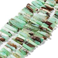 Natural Chrysoprase Beads Strands, Rectangle, 19~42x6.5~9x5.5~7mm, Hole: 0.9mm, about 61~62pcs/strand, 16.73''~17.09''(42.5~43.4cm)(G-M406-C02)