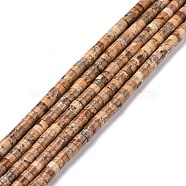 Natural Picture Jasper Beads Strands, Flat Round, 4x2mm, Hole: 1mm, about 169pcs/strand, 14.96''(38cm)(G-P468-03)